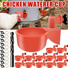 Set, chickenwaterer, drinkingwater, chickendrinker
