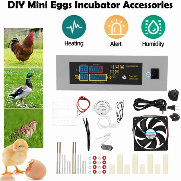 30 Eggs Incubator With Automatic Egg Turning Humidity Control Temperature Display And Egg Candler Light Cozy Incubator With External Injection Water Bottle For Hatching Chicken Bir I.64129412