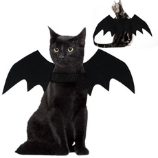 cute, Bat, Cosplay, pet outfits