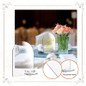 thumbnail - 2
