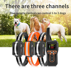 trainer, dog accessories, Remote Controls, Pets