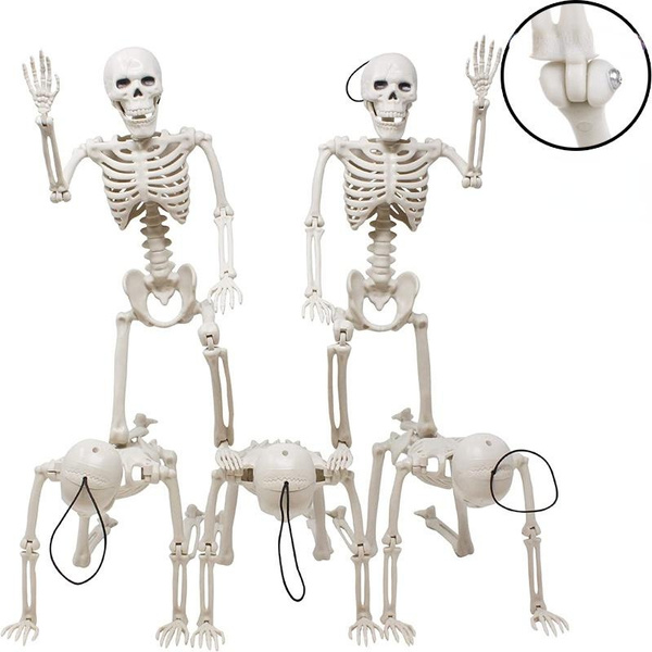 1234pcs 16”（40cm）tall Posable Halloween Skeleton Full Body Halloween Skeleton With Movable