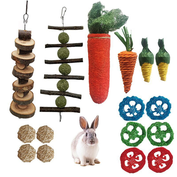 16 Pcs Rabbit Toys Bunny Chew For