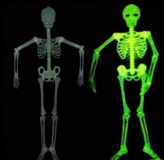 ghost, skeletondecordecoration, fluorescentskeleton, Skeleton