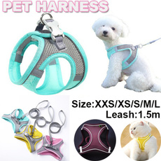Vest, Dog Collar, reflectivepetharne, Pets
