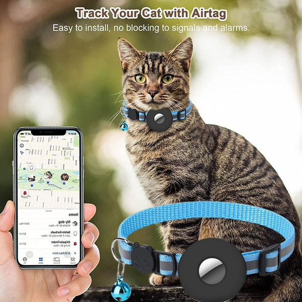 Kitten collar outlet kmart