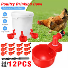 poultry, chickenwatercup, watererkit, coop