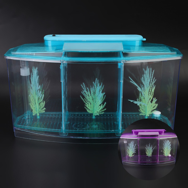 3 Rooms Mini Fish Aquarium Incubator Fish Breeding Hatching Box ...