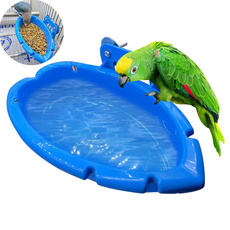 Box, Toy, parrotcagebathtub, Parrot