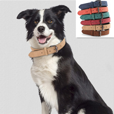Adjustable, Dog Collar, puppy, Pets