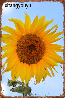 metalsignsartwall, Decor, sunflowermetalsign, Sunflowers