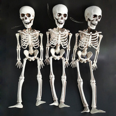 Halloween Decorations, skeletonprop, Skeleton, Horror