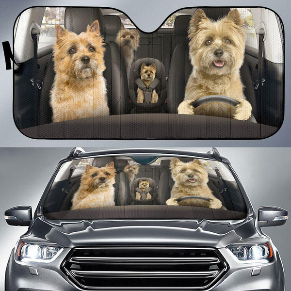 Cairns Tartan Car Sun Shade - 2 Pieces
