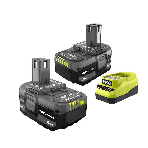 Wish ryobi store battery