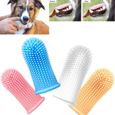 Toothbrush, tartar, Teddy, Pets