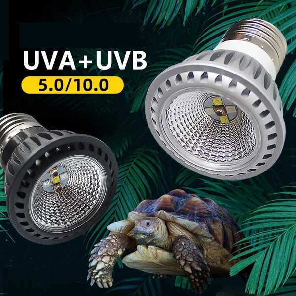 Schildpad Zonneplaats Lamp UVA UVB Concaaf en Convex Spiegel Vol