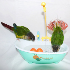 Bath, bathingtub, Parrot, birdbathshower