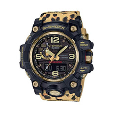 ex221 casio