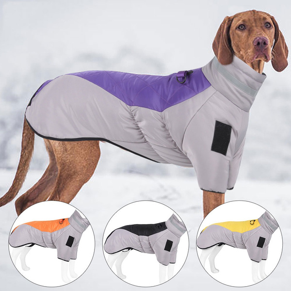 Dog jackets for top large dogs