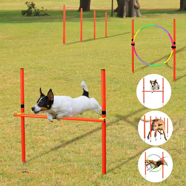 Dog Agility Midlee Adjustable Jump 36