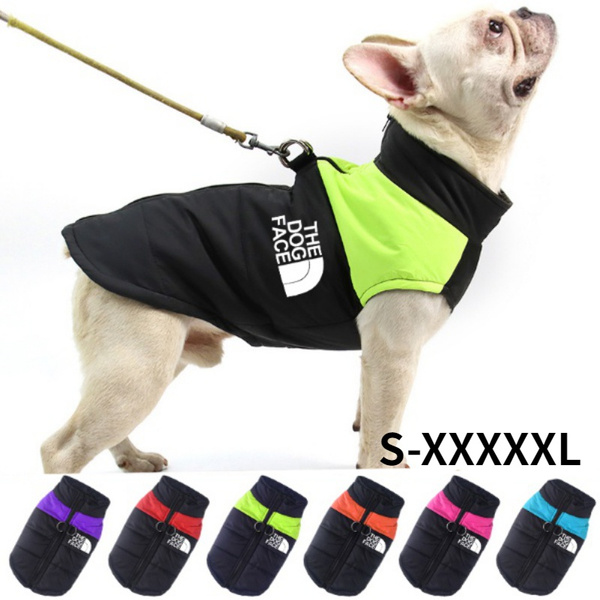 Warm vest 2024 for dogs