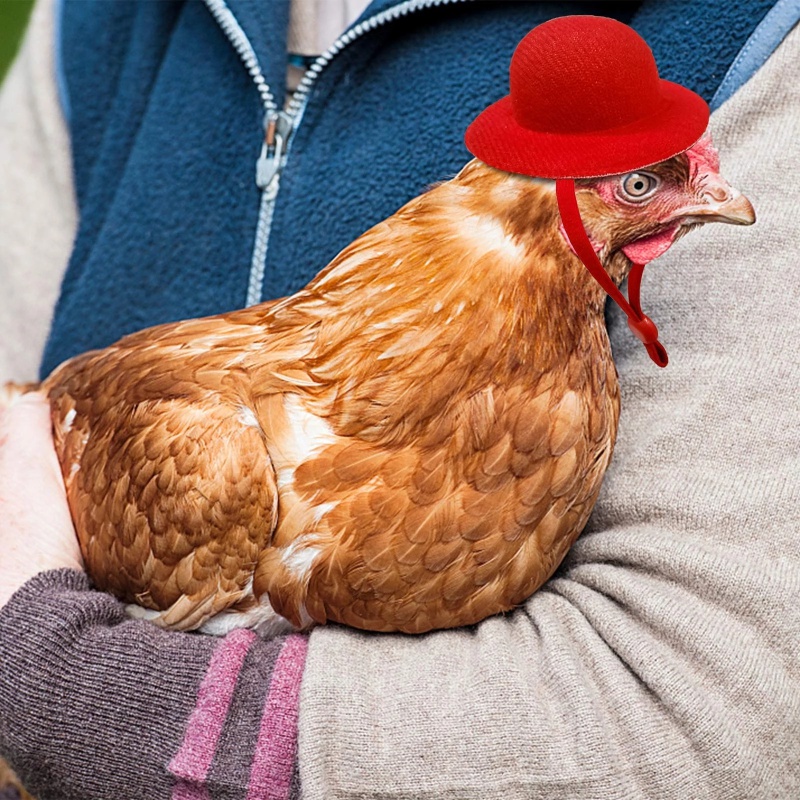 8 Cerchietti Per Capelli A Forma Di Pollo E Pulcini | Garneck Accessori Per Feste, Decorazioni Animali Per Bambini E Adulti (colori Assortiti)