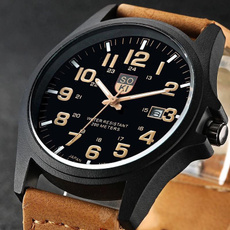 Steel, quartz, classic watch, leather strap