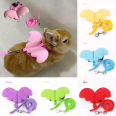 cute, rabbit, petaccessorie, Angel