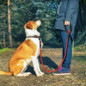 thumbnail - 2