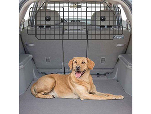 Vans, Pets, Cars, Travel