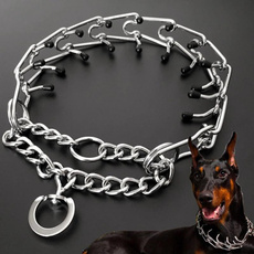 Steel, Training, Dog Collar, Chain