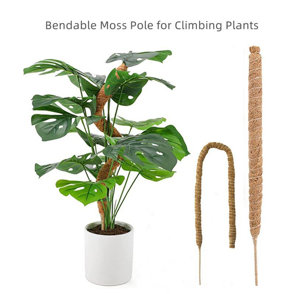 Moss Pole for Plants Monstera, Bendable Plant Sticks Support, Plant