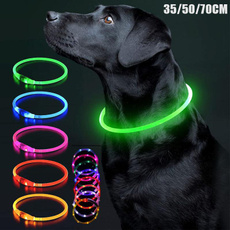 dogcollarlightsforthedark, Bright, Medium, led