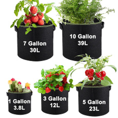 Plants, potatogrowcontainerbag, Gardening, Garden