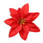 thumbnail - 2