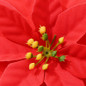 thumbnail - 3