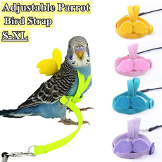 birdleash, Adjustable, petsupply, Pets