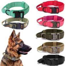 Medium, Dog Collar, Pets, Dogs
