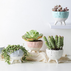 Bonsai, cute, Plants, Ceramic
