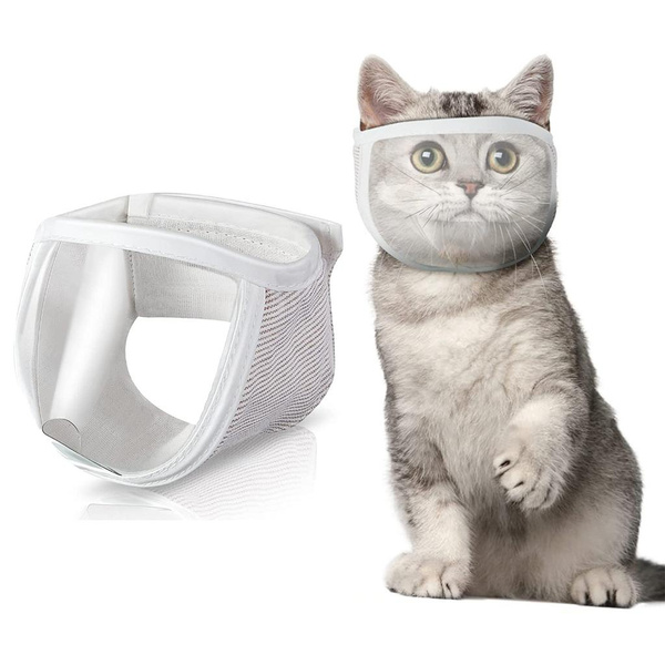 Cat shop muzzle wish