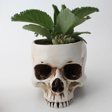 Head, Flowers, Container, withpot