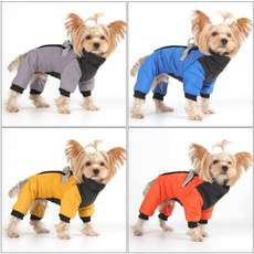 pet dog, Medium, Winter, Waterproof