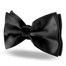 Boy, bowtiedog, bow tie, Men