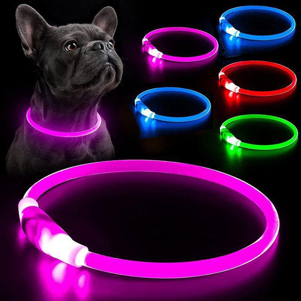 Illuminated hot sale cat collar