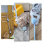 thumbnail - 1