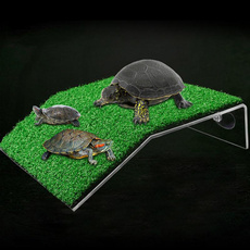 Turtle, Lawn, island, mo