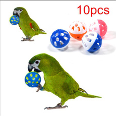 Fun, Toy, petparrottoy, Colorful