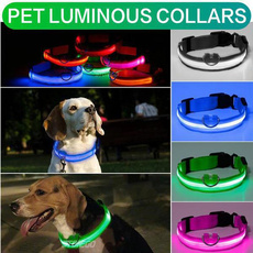 Dog Collar, Led Lighting, Dogs, Led Light