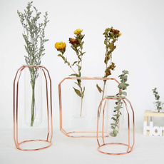 Plants, Flowers, Glass, Pot
