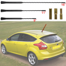 fiesta, Mini, Stereo, aerial